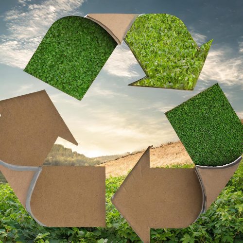 Der Kreislauf des Upcyclings – Nachhaltige Schüttverpackungen: