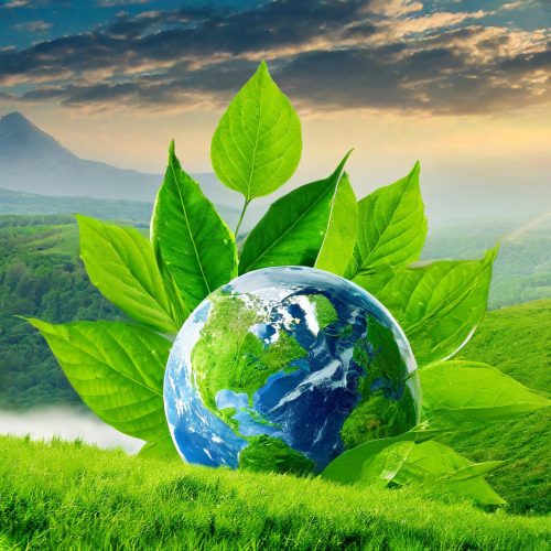 Reduzierter CO2-Fußabdruck um 40% mit nachhaltigem Füllmaterial